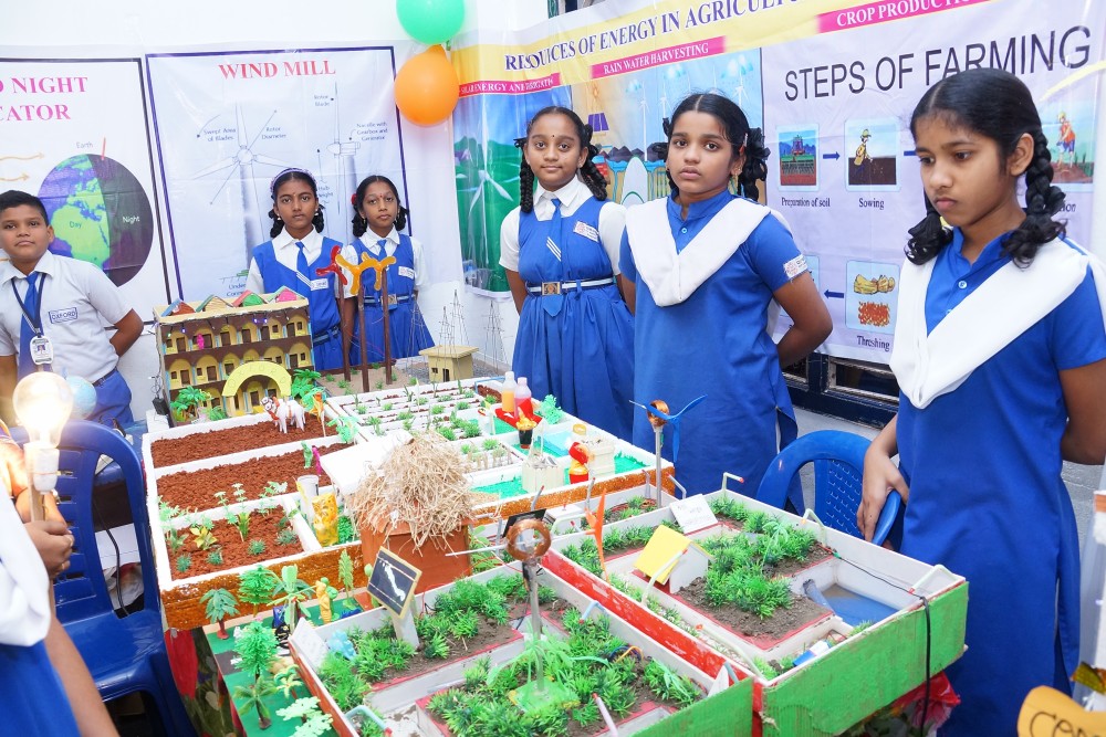 Middle & High School